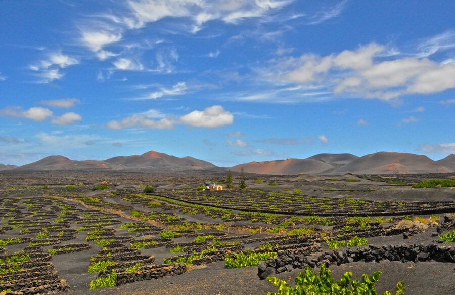 South Tour: Timanfaya National Park - Key highlights at a glance