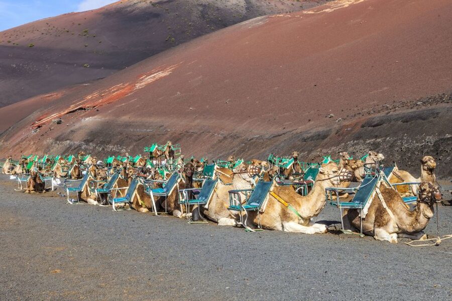 South Tour: Timanfaya National Park - The Visitor Center Photo Stop: Use It to Get Your Bearings