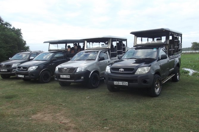 Special leopards safari Yala National park - 04.30 am to 11.30 am - Key things to know before you go on the Yala special leopard safari