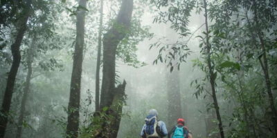 Sri Lanka: 2-Day wildlife tour; rainforest and National park - Udawalawe National Park jeep safari: the long hunt for elephants and crocodiles