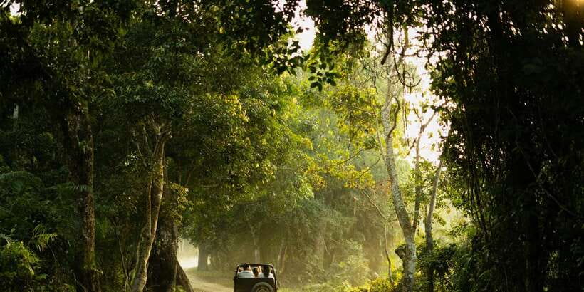 Sri Lanka: 2-Day wildlife tour; rainforest and National park - Gregory Lake, Nuwara Eliya, and the short-stay rhythm