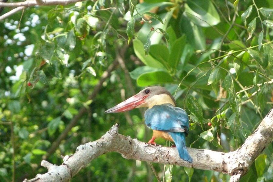 Sri Lanka: 2-Day wildlife tour; rainforest and National park - Waterfalls, spice/herbal garden, and the in-between stops that make the day feel complete