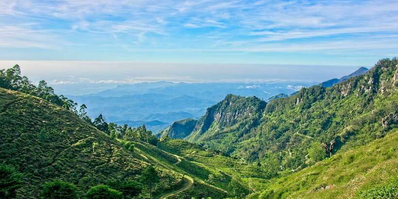 Sri Lanka: 2-Day wildlife tour; rainforest and National park - Driving, timing, and what a two-day sprint feels like