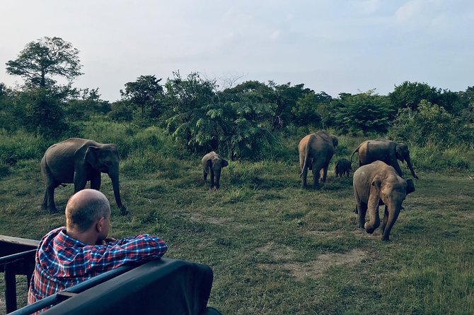 Sri Lanka Wild Life Uniqe Safari 26 - Key Things to Know Before You Go