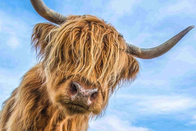 Stirling Castle Loch Lomond and Trossachs National Park day tour - Key Takeaways Before You Go