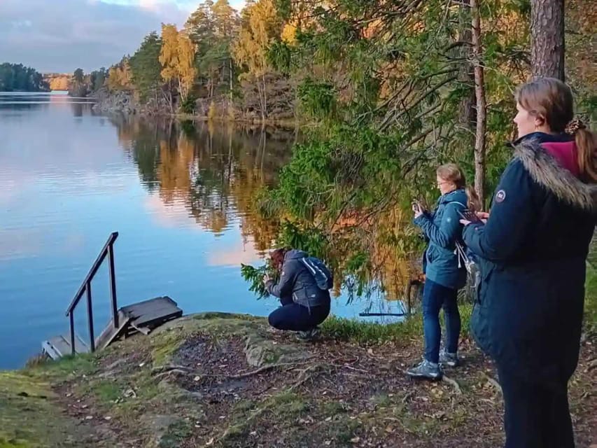 Stockholm: Sunset Hike in Tyresta National Park with Meal - Should you book the Tyresta sunset hike with meal?