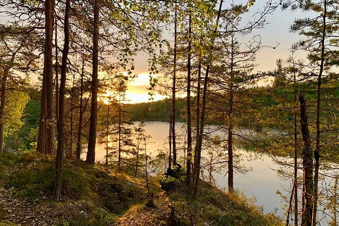 Stockholm: Sunset Hike in Tyresta National Park with Meal - Why Tyresta’s sunset hike feels more Swedish than touristy