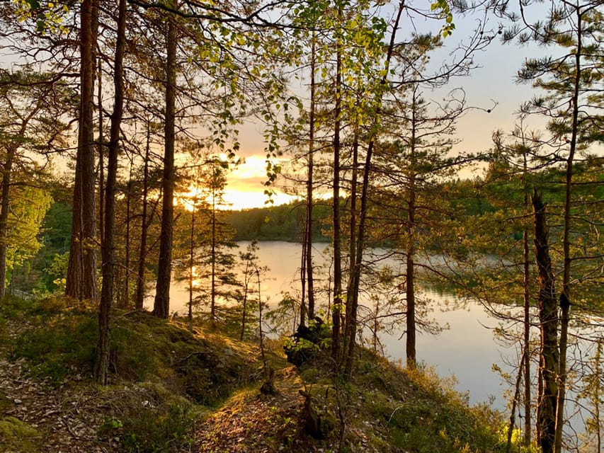 Stockholm: Sunset Hike in Tyresta National Park with Meal - Who this works for (and who should skip it)