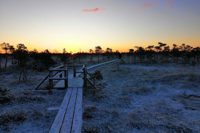Sunrise at Kemeri National park + Jurmala - Key highlights you’ll actually feel