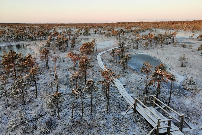 Sunrise at Kemeri National park + Jurmala - Kemeri at sunrise: bog silence and a view that starts softly