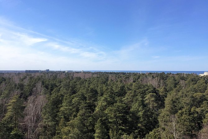 Sunrise at Kemeri National park + Jurmala - Dzintari Forest Park: optional treetops views (with a backup in mind)