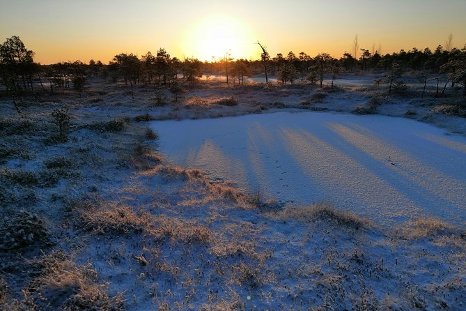Sunrise at Kemeri National park + Jurmala - Value check: is $131.81 per person worth it?