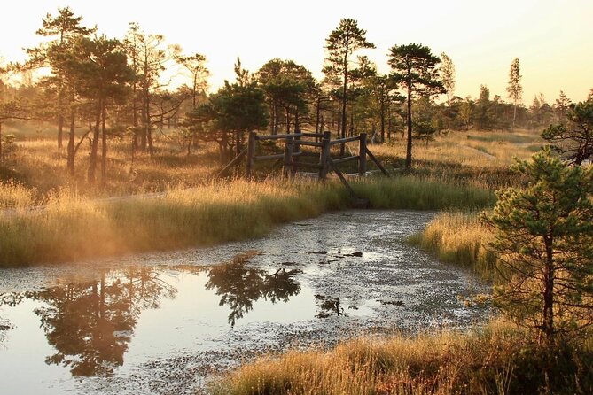 Sunrise at Kemeri National Park - Small Group - Why a sunrise bog walk from Riga feels so special