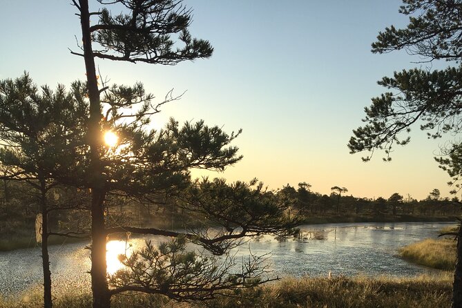 Sunrise at Kemeri National Park - Small Group - The Kemeri National Park experience: what to focus on at dawn