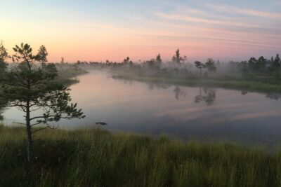 Sunrise at Kemeri National Park - Small Group - Getting onto the Great Kemeri bog boardwalk