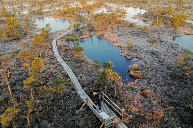 Sunrise at Kemeri National Park - Small Group - Group size and pacing: small enough to breathe