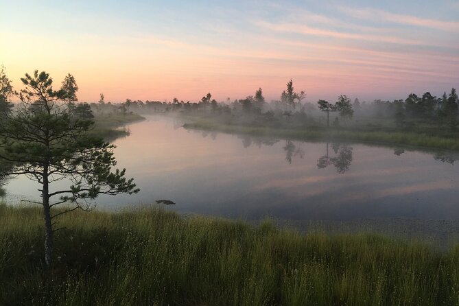 Sunrise at Kemeri National Park - Small Group - Getting onto the Great Kemeri bog boardwalk