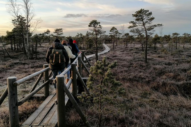 Sunset at Kemeri National Park - Why Kemeri at sunset feels like a reset from Riga