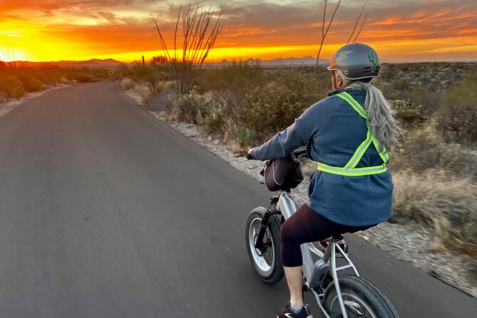 Sunset Saguaro National Park, East Guided E-Bike Tour - Key highlights before you book