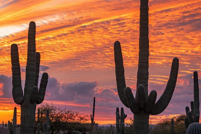 Sunset Saguaro National Park, East Guided E-Bike Tour - The ride flow: what a guided sunset e-bike outing feels like
