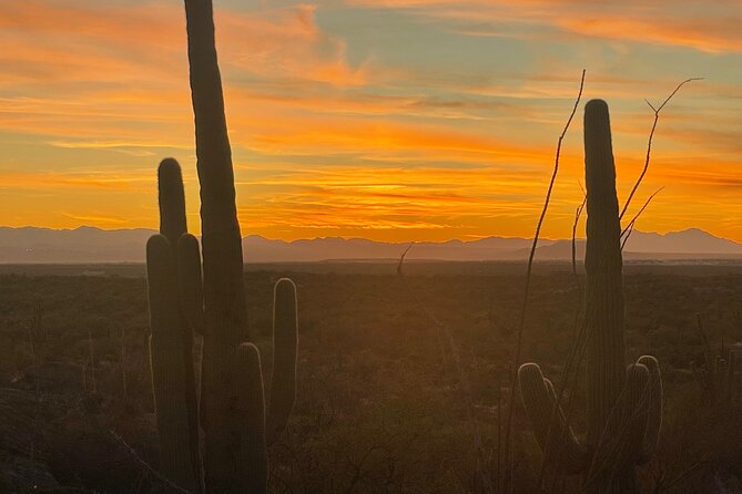 Sunset Saguaro National Park, East Guided E-Bike Tour - Stop at Saguaro National Park East: your golden-hour checklist