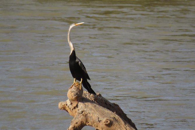 Super Luxury Jeep Safari at Yala National Park - The safari flow inside Yala: what you should expect on the day