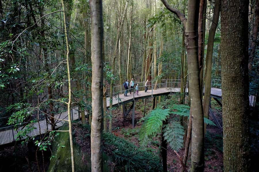 Sydney: Blue Mountains National Park Tour with River Cruise - Leura lunch break: when the trip slows down on purpose