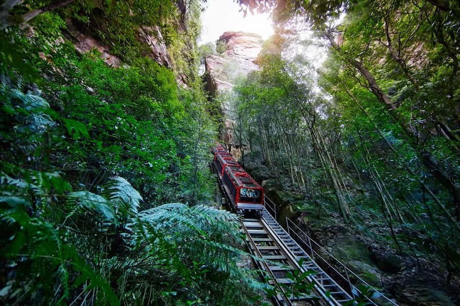 Sydney: Blue Mountains National Park Tour with River Cruise - Scenic World: the rides are optional, but the rainforest walkway is a highlight