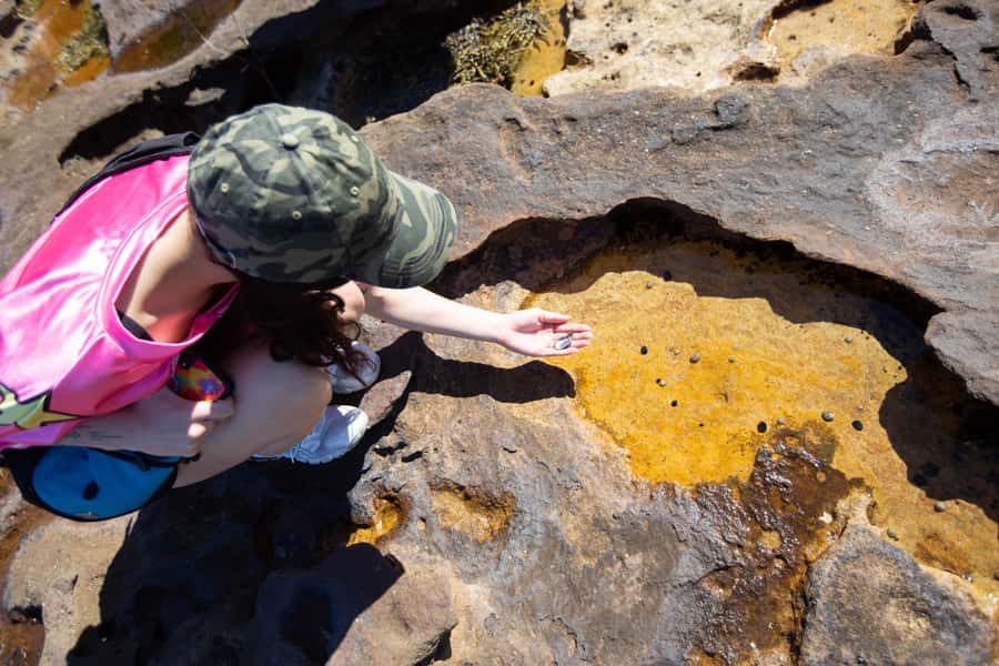Sydney Harbour National Park 2-Hour Walking Tour - A 2-Hour Walk That Mixes Nature and Harbour History