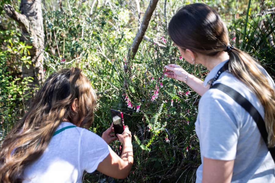 Sydney Harbour National Park 2-Hour Walking Tour - Sandstone Shores and Harbour Icons: Photography Without the Guesswork