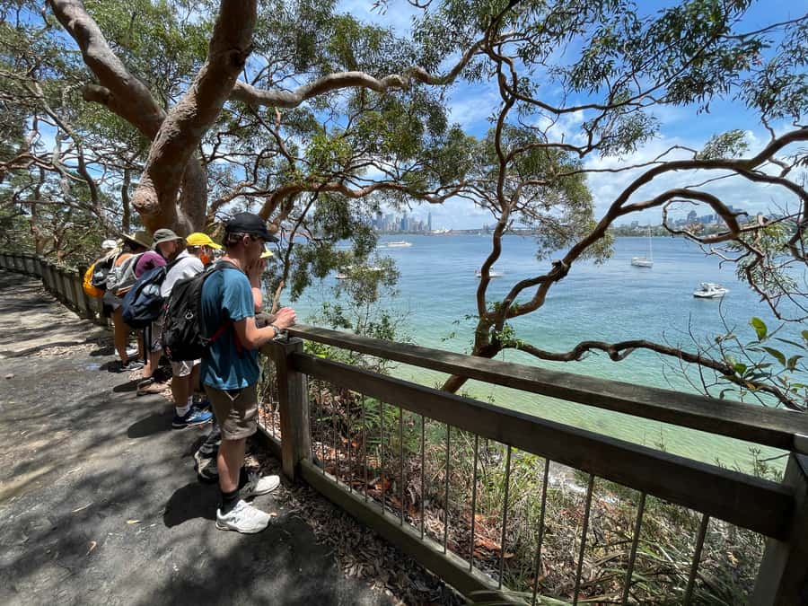 Sydney Harbour National Park 2-Hour Walking Tour - Meeting Point, Timing, and What a Rainy Tour Actually Means