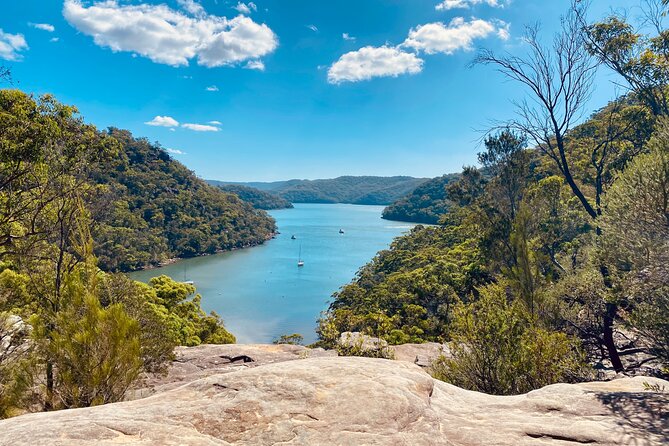 Sydney: Ku-ring-gai Chase National Park with Hike, Swim, Picnic - Key things to know before you go