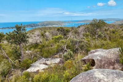 Sydney: Ku-ring-gai Chase National Park with Hike, Swim, Picnic - How the day actually feels: pacing, moderate fitness, and small-group comfort