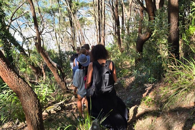 Sydney: Ku-ring-gai Chase National Park with Hike, Swim, Picnic - The catered picnic: why this one matters more than you think