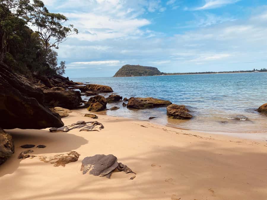 Sydney: Ku-ring-gai National Park with Hike, Beach & Picnic - Key highlights you’ll care about