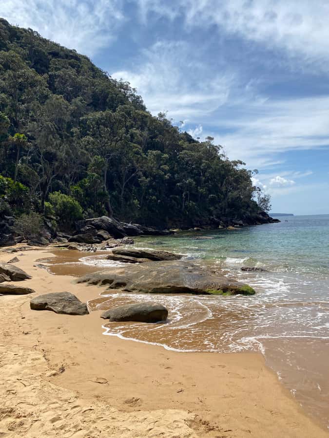 Sydney: Ku-ring-gai National Park with Hike, Beach & Picnic - Hidden beaches and optional swims with Palm Beach views