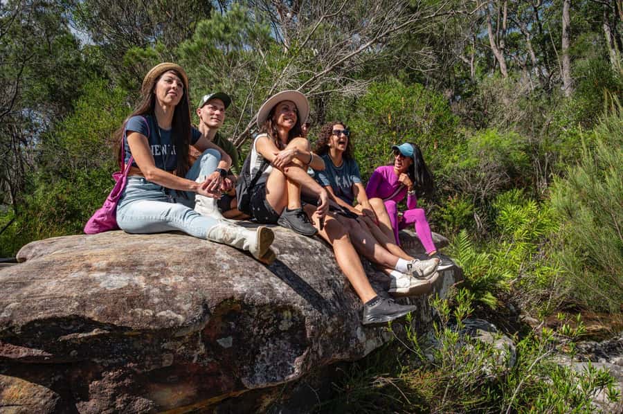 Sydney: Ku-ring-gai National Park with Hike, Beach & Picnic - The picnic lunch: local cheeses, olives, falafel, dolmades, and kombucha
