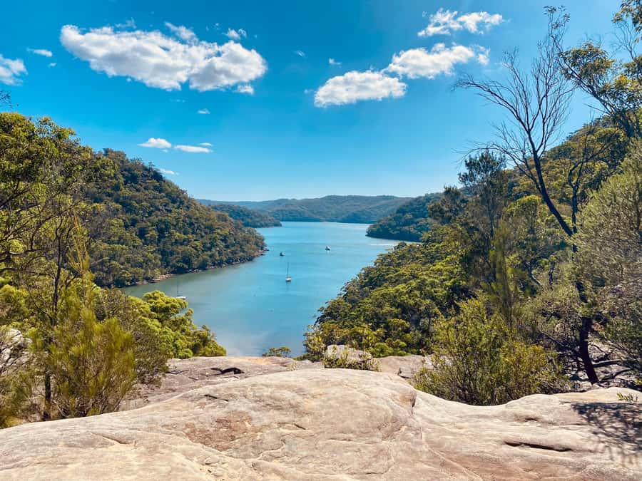 Sydney: Ku-ring-gai National Park with Hike, Beach & Picnic - Getting out of Sydney: private car, not a bus day