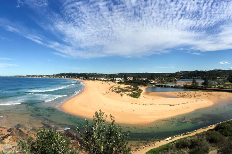Sydney: Northern Beaches and Ku-ring-gai National Park Tour - What you get for the $300 price: value that makes sense for a busy day