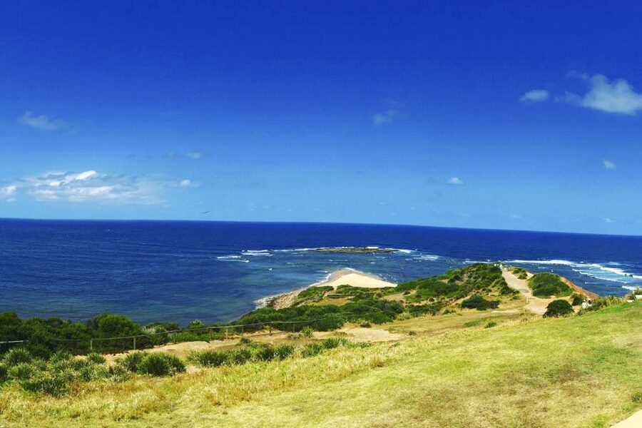 Sydney: Northern Beaches and Ku-ring-gai National Park Tour - Long Reef Headland and Narrabeen: the surfing-view combo you came for