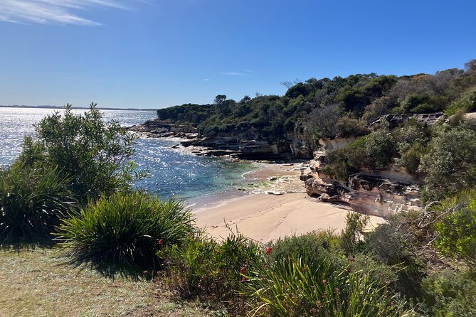 Sydney Private Tour Inc The Royal National Park and Symbio Zoo - Bundeena: Small Town Energy Inside the Park