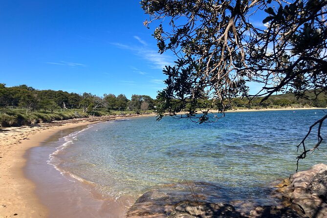 Sydney Private Tour Inc The Royal National Park and Symbio Zoo - Wedding Cake Rock: The Main Event (Plan for Three Hours)