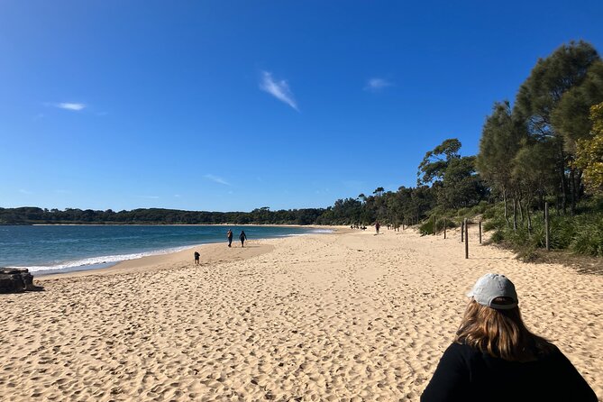 Sydney Private Tour Inc The Royal National Park and Symbio Zoo - What the 8 Hours Actually Feels Like