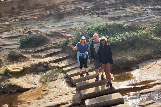 Sydney Private Tour Inc The Royal National Park and Symbio Zoo - The Mercedes ML350: Comfort Matters When You’re Driving Long Views