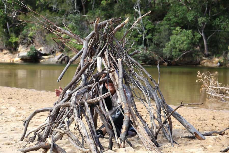 Sydney: Royal National Park private day tour - Key highlights I think you’ll care about