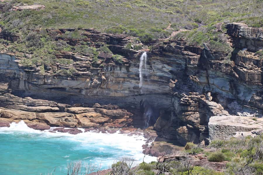 Sydney: Royal National Park private day tour - Symbio Wildlife Park option: native animals when you want a closer break