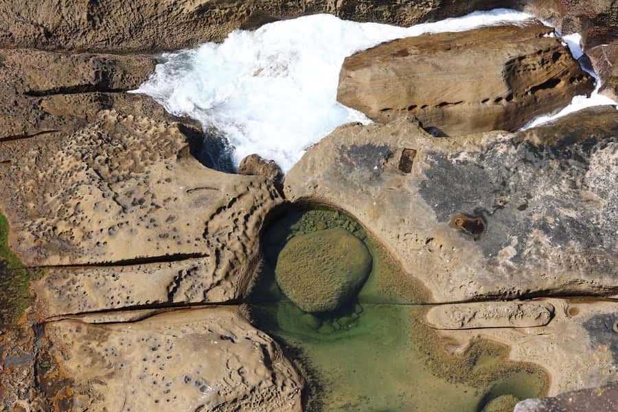 Sydney: Royal National Park private day tour - Price and logistics: is $368 per person worth it?