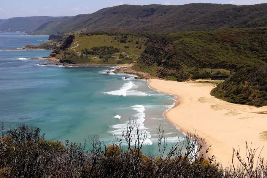 Sydney: Royal National Park private day tour - Wattamolla stop: waterfall, freshwater pool, and a beach you can actually swim