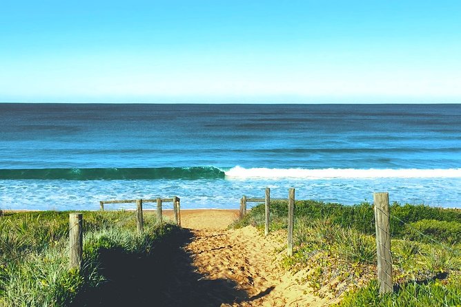Sydney's Northern Beaches & Ku-ring-gai National Park Small Tour departing Manly - Ku-ring-gai Chase National Park: the bush walk with cultural context
