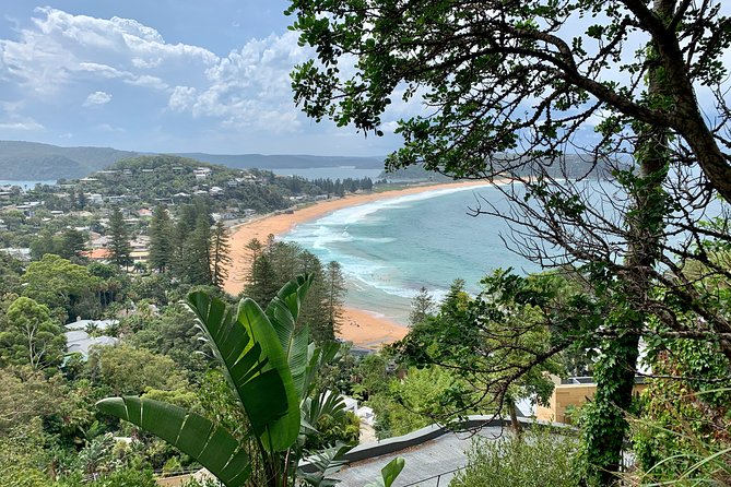 Sydney's Northern Beaches & Ku-ring-gai National Park Small Tour departing Manly - Palm Beach and Home and Away: TV glamour meets serious coast views